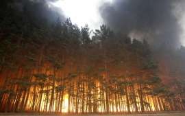В Волгоградской области ветреная погода может осложнить пожароопасную обстановку