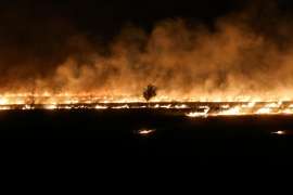 МЧС: чрезвычайная пожароопасность в Волгоградской области