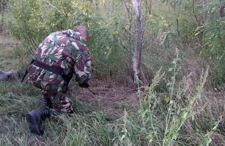 Житель Волгограда устроил в лесу два склада с раритетным оружием и боеприпасами