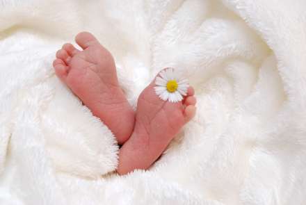 В двух районах Волгограда зарегистрирован прирост рождаемости
