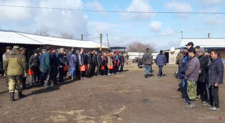 В Волгоградской области «в тепличных условиях» незаконно трудились четыре десятка мигрантов