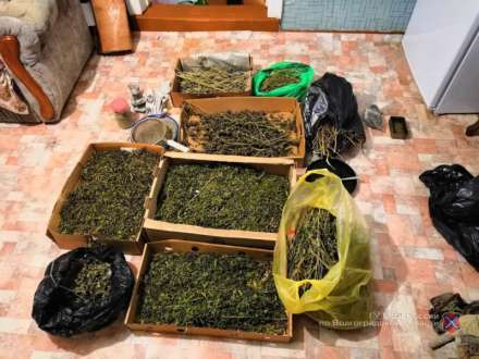 В доме селянина под Волгоградом оперативники нашли склад с марихуаной