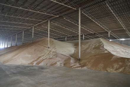С полей Волгоградской области собрали свыше трех миллионов тонн зерна