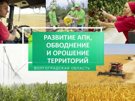 Активное развитие АПК Волгоградской области отмечено Владимиром Путиным