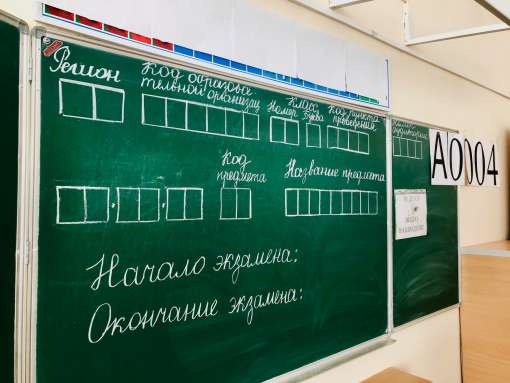 Дистанция, термометрия и русский язык: школы Волгоградской области готовятся к ЕГЭ