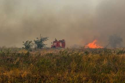 Под Волгоградом тушат лесной пожар