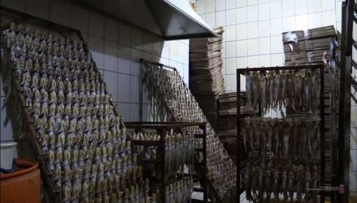 Подпольный цех по переработке браконьерской рыбы накрыли в Волгограде