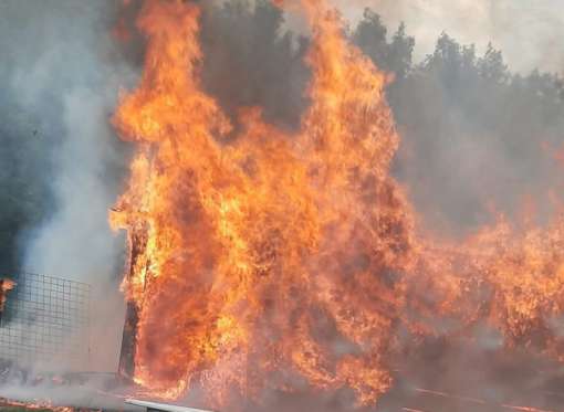 Курящий пастух устроил ландшафтный пожар в окрестностях Волгограда