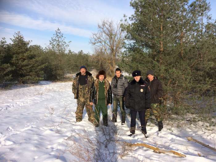 70 тысяч хвойных посадок взяли под охрану в Волгоградской области