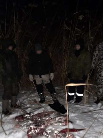 Под Волгоградом полицейские шесть часов гонялись по лесу за браконьерами на снегоходах