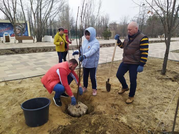 В парке Гагарина в Волгограде провели уборку и высадку клёнов