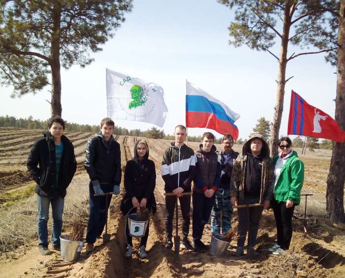 В «Саду памяти» Волгоградской области высадили 132 тысячи деревьев