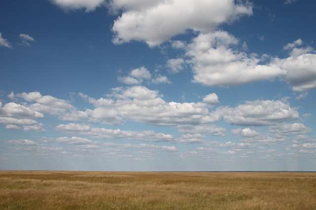 Центр по борьбе с опустыниванием территорий открыли в Волгограде