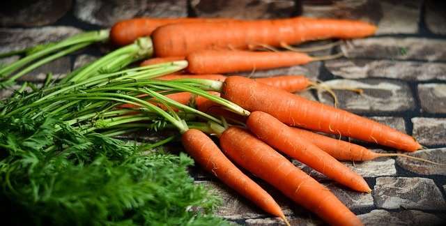 Морковь в Волгоградской области продолжает дорожать