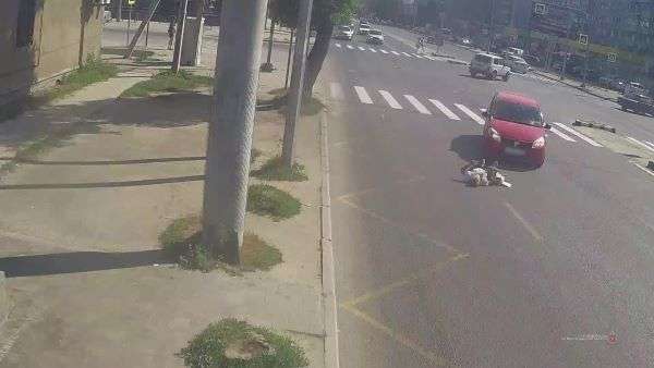 В Волгограде  автомобиль сбил пенсионерку  на пешеходном переходе