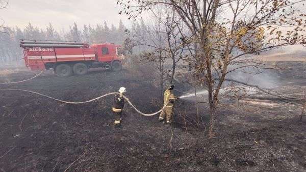 Лесной пожар в Даниловском районе Волгоградской области локализовали