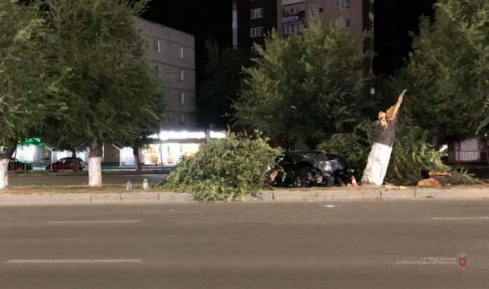 Трое парней на «БМВ» врезались в дерево в Волгограде