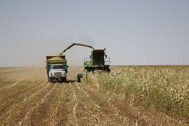 В Волгоградской области собрано более 3,8 миллиона тонн зерновых