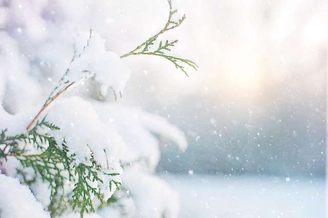Синоптики прогнозируют  ухудшение погоды в Волгоградской области :  снег, сильный ветер и  мороз