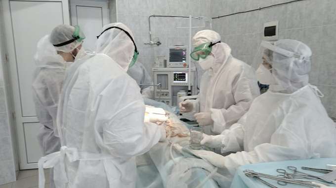 В красных зонах Волгоградской области хирургическую помощь получили 668 пациентов