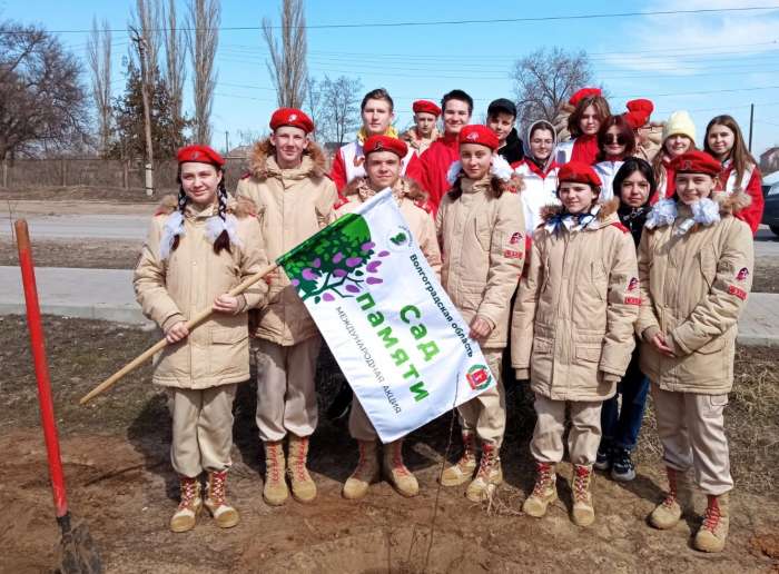 В Волгоградской области планируется высадить более 600 тыс. деревьев в рамках акции «Сад памяти»