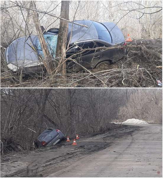 Водитель и пассажирка  пострадали в ДТП  с деревом в Волгоградской области