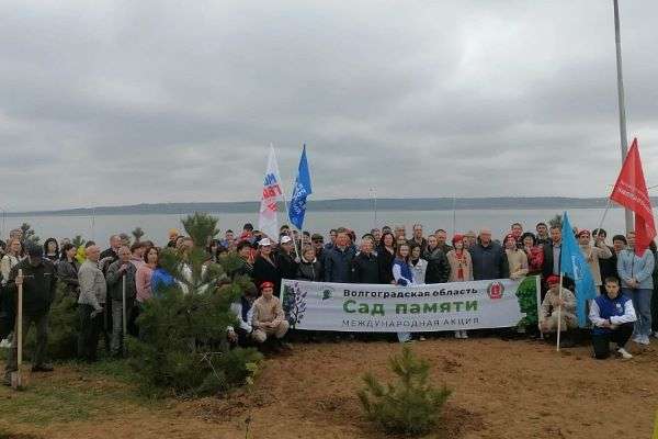 Волгоградская область принимает активное участие  в международной акции «Сад Памяти»