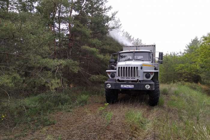 Территорию  лесничеств Волгоградской области обработают от вредителей