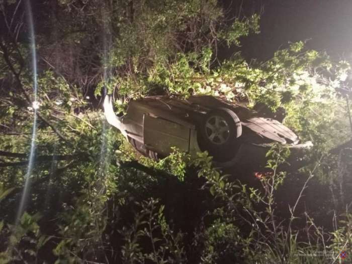 В Волгоградской области водитель погиб после ДТП с деревом