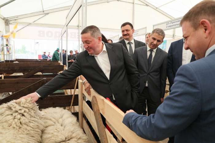 Овцеводческие хозяйства Волгоградской области представили свои достижения на Всероссийской  выставке племенных овец и коз