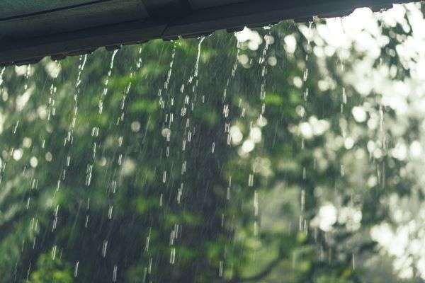Врач-терапевт рассказала, как дожди летом влияют на самочувствие