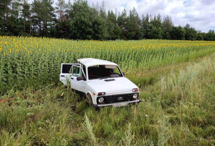 В Волгоградской области в ДТП погибла 56-летняя женщина-водитель