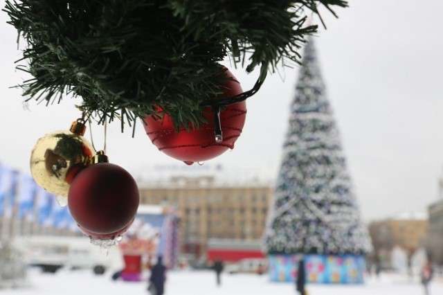 Большой семейный праздник   в честь главной новогодней елки пройдет в Волгограде 24 декабря