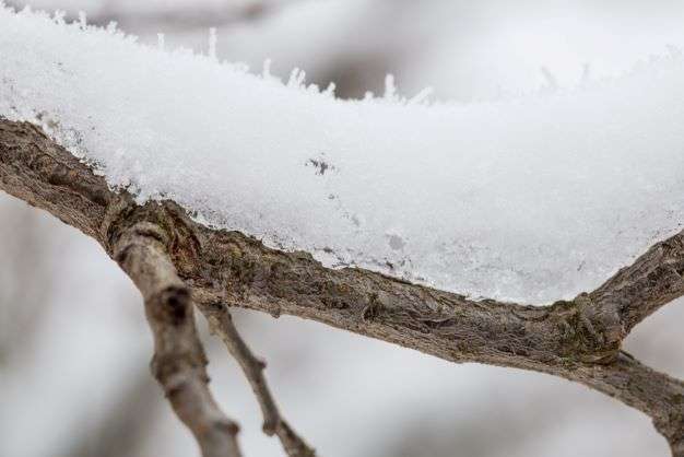 31 января синоптики прогнозируют в Волгоградской области мокрый снег , туман и морось