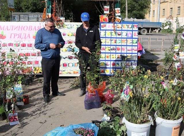 На севере Волгограда открылась  ярмарка по продаже саженцев и семян