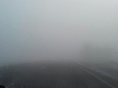 туман дороги