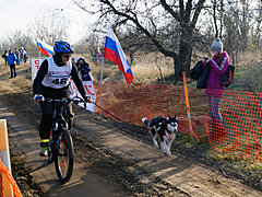 В Волгограде впервые провели гонки с собачьими упряжками