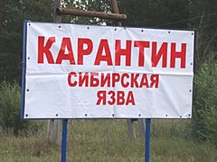 В Волгоградской области не допустили эпидемии сибирской язвы
