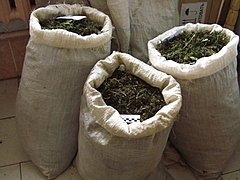 В доме селянина под Волгоградом нашли более 30 кг марихуаны