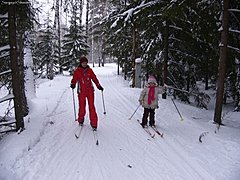 В выходные для волгоградцев устроят большой лыжный праздник