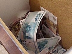 Под Волгоградом няня украла из квартиры хозяев 92 тысячи рублей