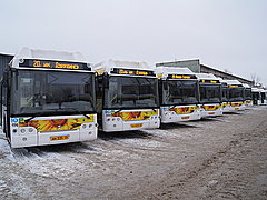 В Волгограде в феврале заработают три новых автобусных маршрута