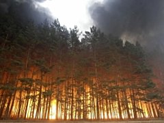 В Волгоградской области снят особый противопожарный режим