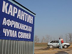 В Волгоградской области в двух личных подсобных хозяйствах выявл