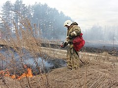 Сжигание сухой травы: правила пожарной безопасности
