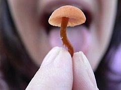 16-летние школьники отравились грибами под Волгоградом