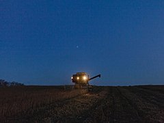 Житель Волгоградской области по ночам воровал фермерское зерно