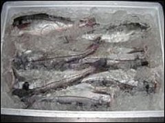 20 килограммов неопознанной рыбы закупили для питания воспитанни