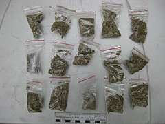 В Камышине обнаружены еще 12 закладок с наркотиками