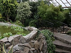 В Волгоградском ботаническом саду открылся искусственный пруд с